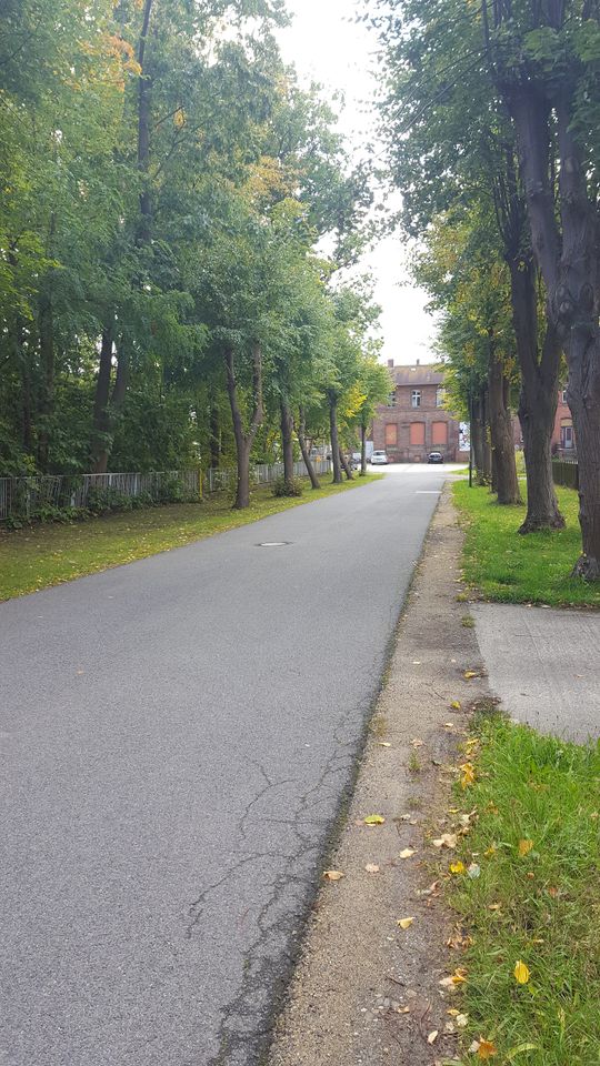 Denkmalgeschützte Fabrikantenvilla auf bewaldetem Parkgrundstück in Rietschen