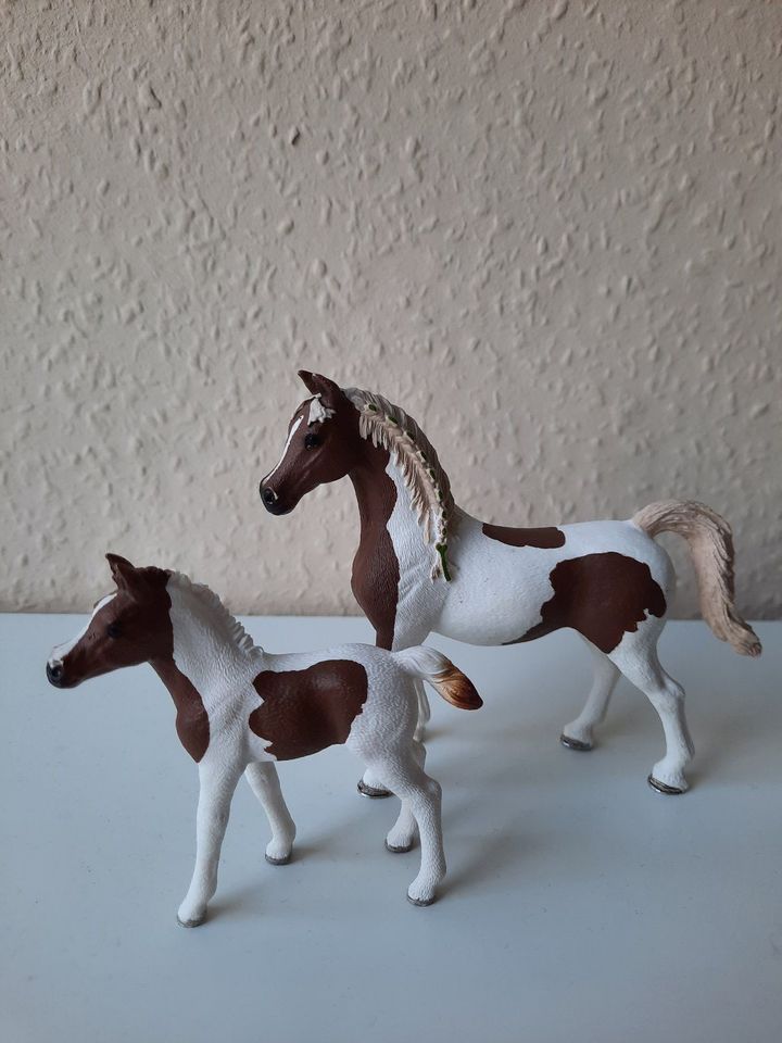 Schleich Pferde - Araber Pinto Stute + Fohlen - 13838, 13839 in Ganderkesee