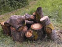 1 Partie frisches Eichenholz Niedersachsen - Rastede Vorschau