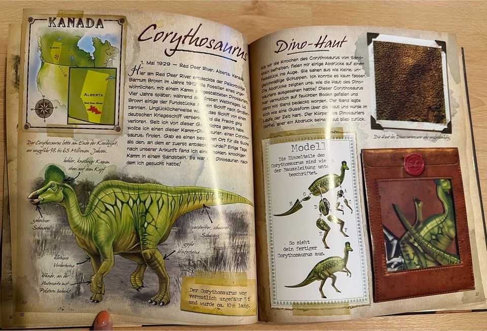 Abenteuer Dinosaurier- Buch in Dußlingen