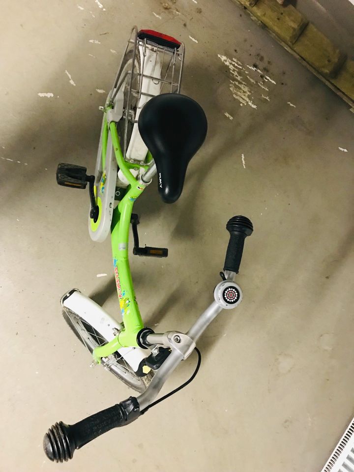 Puky Kinderfahrrad, grün, unisex, 16 Zoll, Alu in Dresden