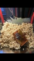 Popcorn, Popcornmaschine, candybar, Geburtstag, sommerfest, Party Nordrhein-Westfalen - Schwelm Vorschau