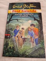 Enid Blyton Fünf Freunde und der rätselhafte Friedhof Buch Kinder Niedersachsen - Northeim Vorschau