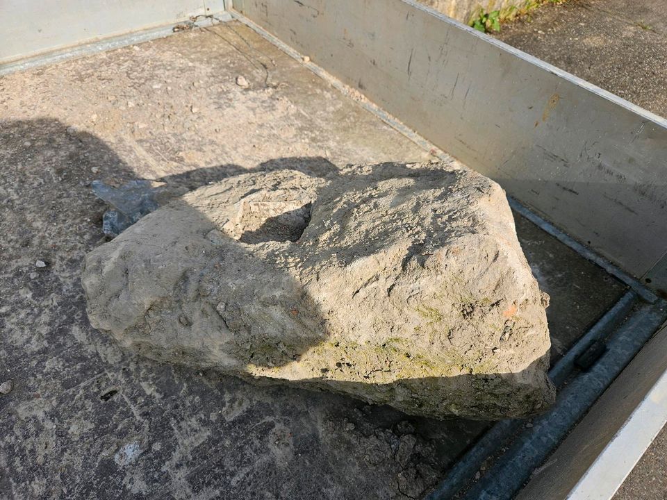 Stein zu verschenken in Neckarwestheim