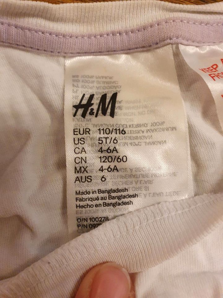 Schlafanzug Pyjama Größe 110/116 H&M Avocado in Dresden