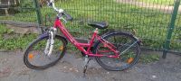 Pegasus Fahrrad Größe 26 - Gut Zustand, 180€ in Leipzig!" Leipzig - Sellerhausen-Stünz Vorschau