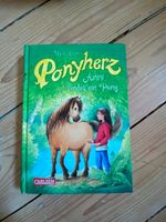 Ponyherz Bd. 1 Anni findet ein Pony - wie neu! Hessen - Laubach Vorschau