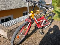 Fahrrad 20 zoll Bayern - Neu Ulm Vorschau