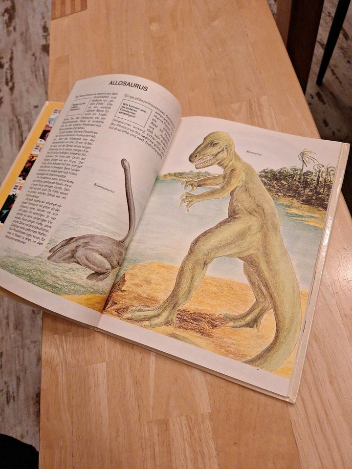 Buch Was ist was Dinosaurier in Burgwald