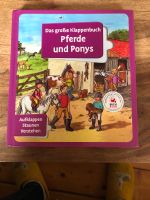 Das große Klappenbuch - Pferde und Ponys Sachsen-Anhalt - Langeneichstädt Vorschau