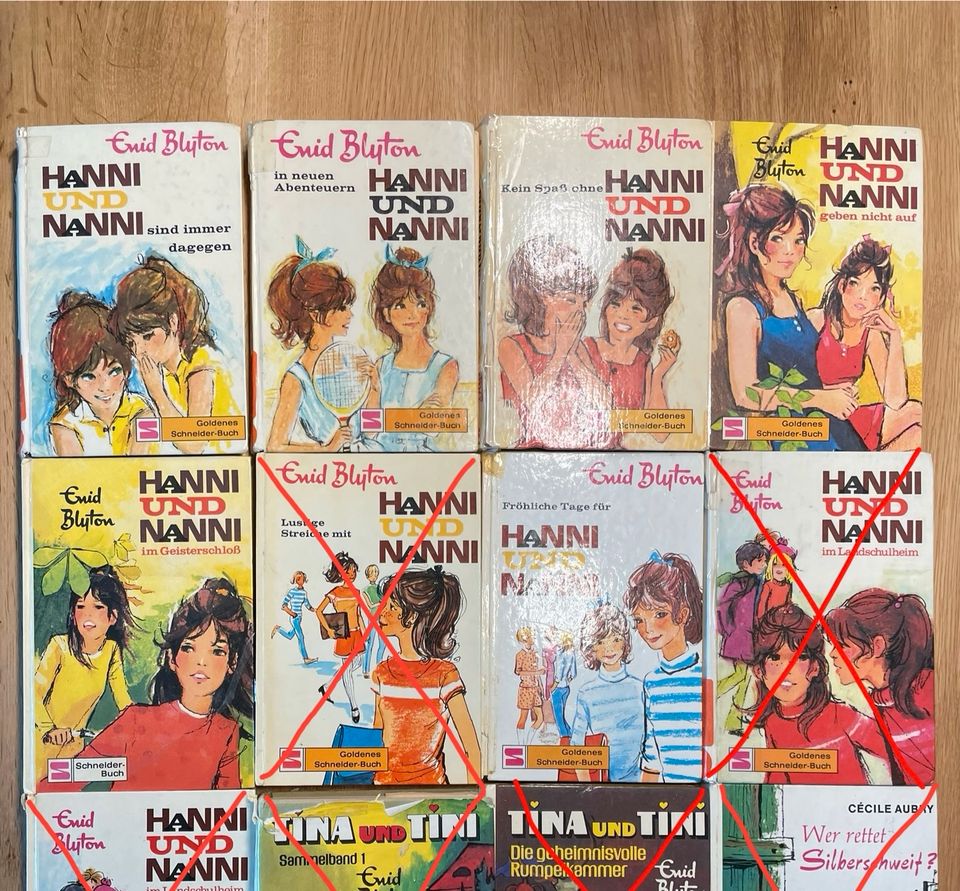 Hanni und Nanni | Tina und Tini | Silberschweif | Kinderbücher in Albachten