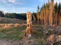 Suche Wald bei Plankenfels Zustand egal Bayern - Bayreuth Vorschau