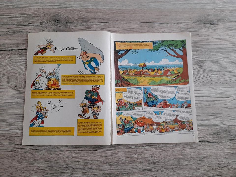 Asterix im Morgenland * Comic * Band XXVIII in Zweibrücken