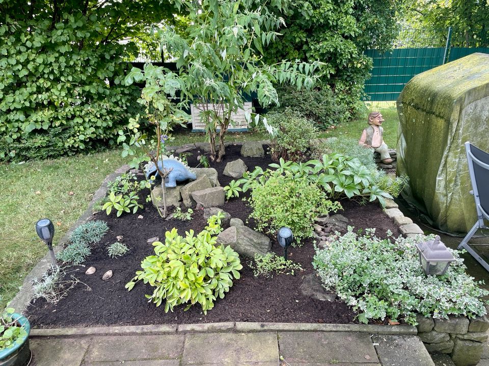 Gartenbau, Gartenpflege, Terrassenbau, Zaunbau, Steinreinigung in Mülheim (Ruhr)