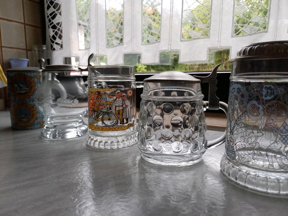 5 schöne Bierkrüge aus Glas und Porzellan mit Zinndeckel in Schwarzenfeld