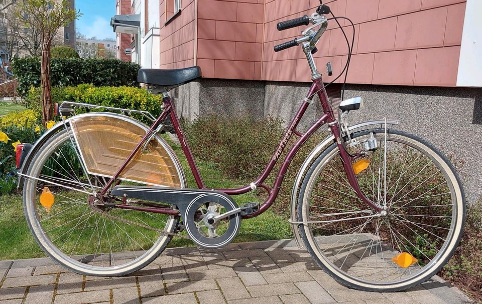 Damenrad, Fahrrad Panther Rahmengröße 17'', 26iger Reifengröße in Braunschweig