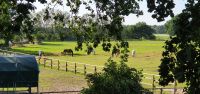 Pferdebox/Einstellplatz Niedersachsen - Bad Bodenteich Vorschau