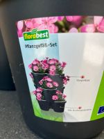 Florabest Pflanzgefässset Neu Rheinland-Pfalz - Tawern Vorschau