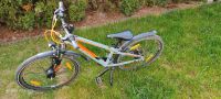 CONE R240 24 Zoll Kinder Jugend Fahrrad Deggendorf - Natternberg Vorschau