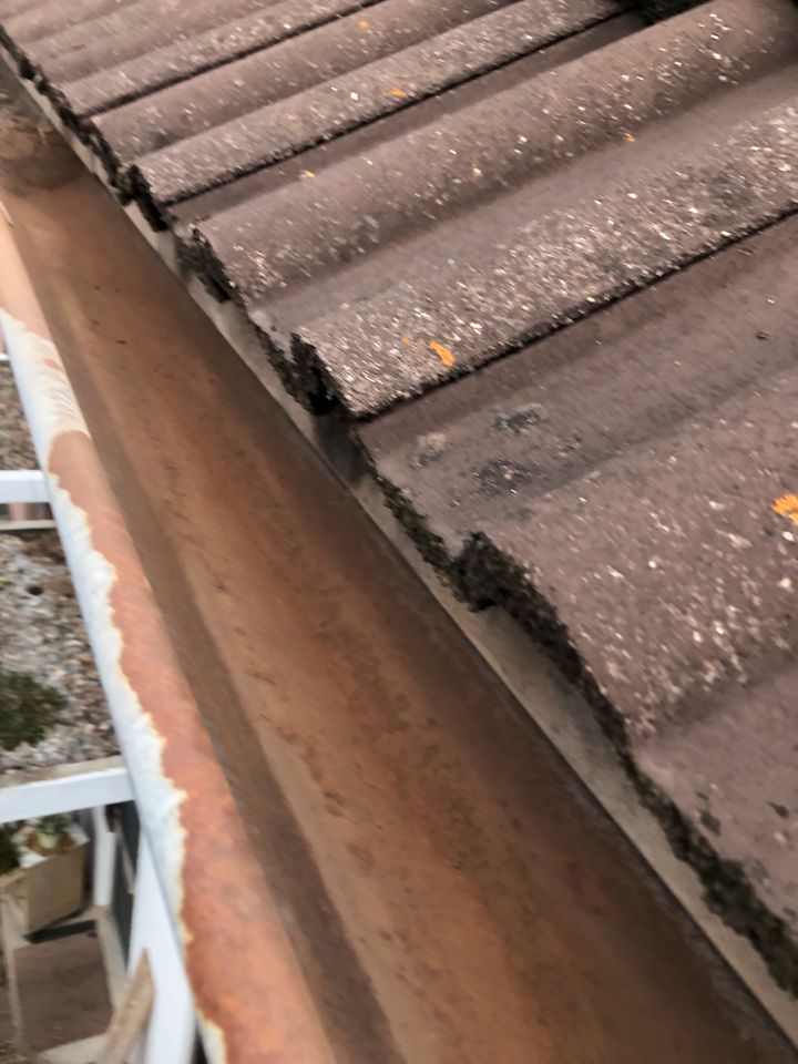 Dachrinnen Reinigung mit dem Steiger Dachziegel tauschen in Triefenstein