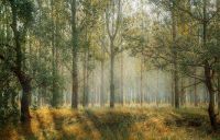 Naturschutz: Suche Wald, Wiese, Moor Niedersachsen - Lüneburg Vorschau