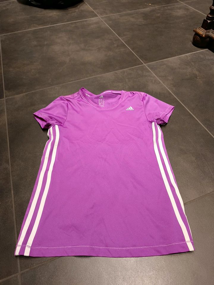 Sportshirt Adidas 152 lila in Stralsund