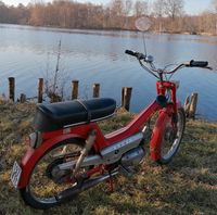 Moped Privileg Deluxe 40/1 Schleswig-Holstein - Itzehoe Vorschau