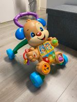 Lauflernwagen von Fisher Price Bayern - Ansbach Vorschau