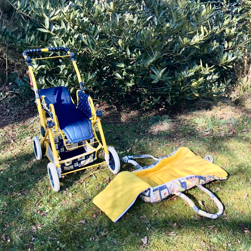 Puppenwagen groß Tragetasche extra Kinderwagen in Ustersbach