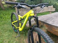 Mountainbike Specialized Sachsen - Haselbachtal Vorschau