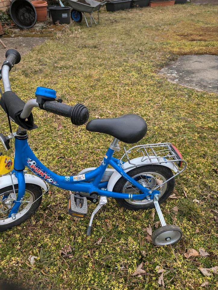 Puky Kinderfahrrad 12zoll  1.Hand in Bad Freienwalde