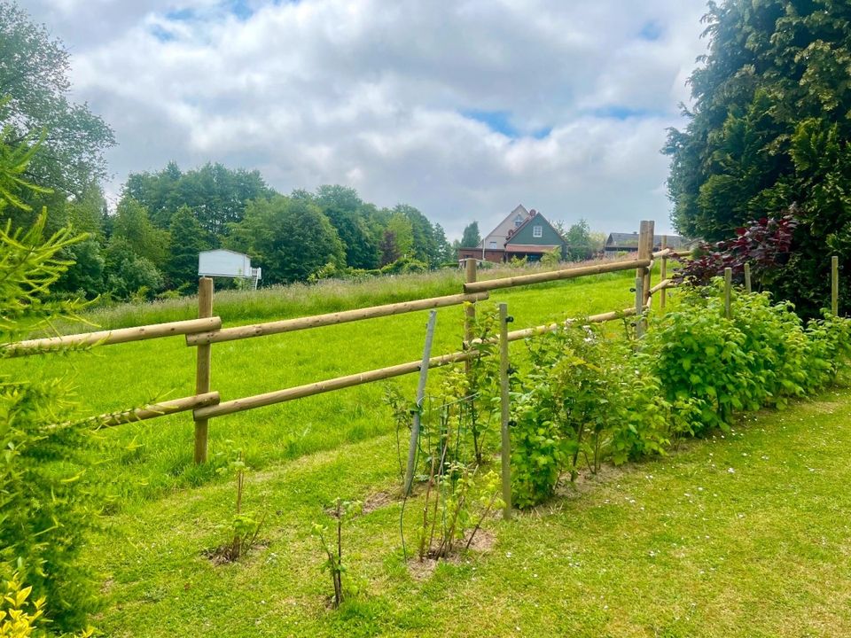 Pferdezaun Weidezaun Koppelzaun Pfähle - 100 METER - KOMPLETTSET in Olsberg