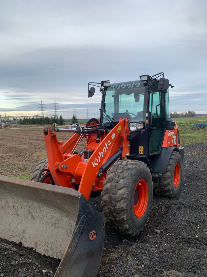 Radlader, Lader, Giant, Kubota, 5t, 2,5t, kompakt Lader, Bau in Euskirchen