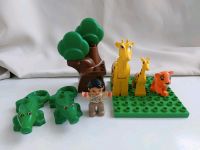 LEGO DUPLO Zoo Krokodile Giraffe Schleswig-Holstein - Norderstedt Vorschau