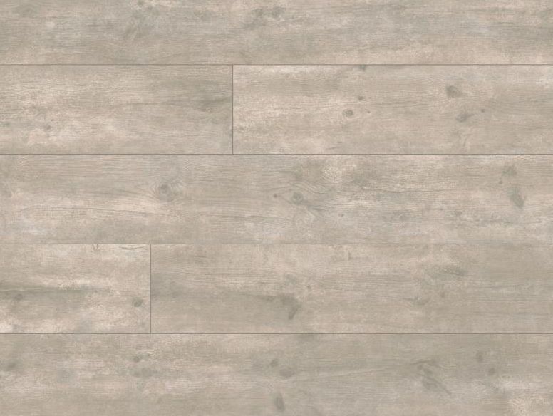 Masterfloor Laminatboden Beton Fossil in Torgelow