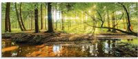 Wunderschönes Wandbild aus Glas - Frühling im Wald Hessen - Ebsdorfergrund Vorschau
