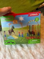 Schleich Turnier Reitplatz Pferde Pferdeset Baden-Württemberg - Sulz Vorschau