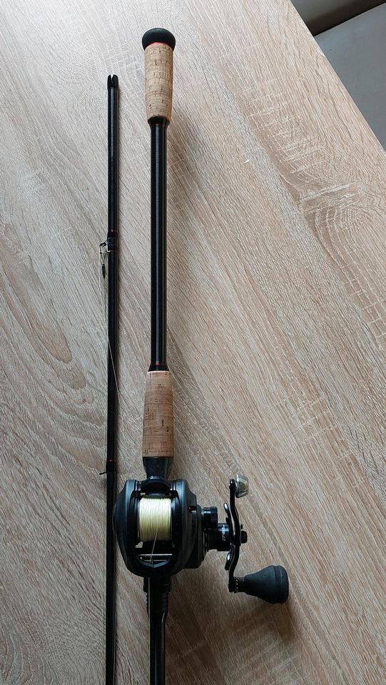 Spin System 3 / Handmade Abu garcia Daiwa/Shimano in Krummesse