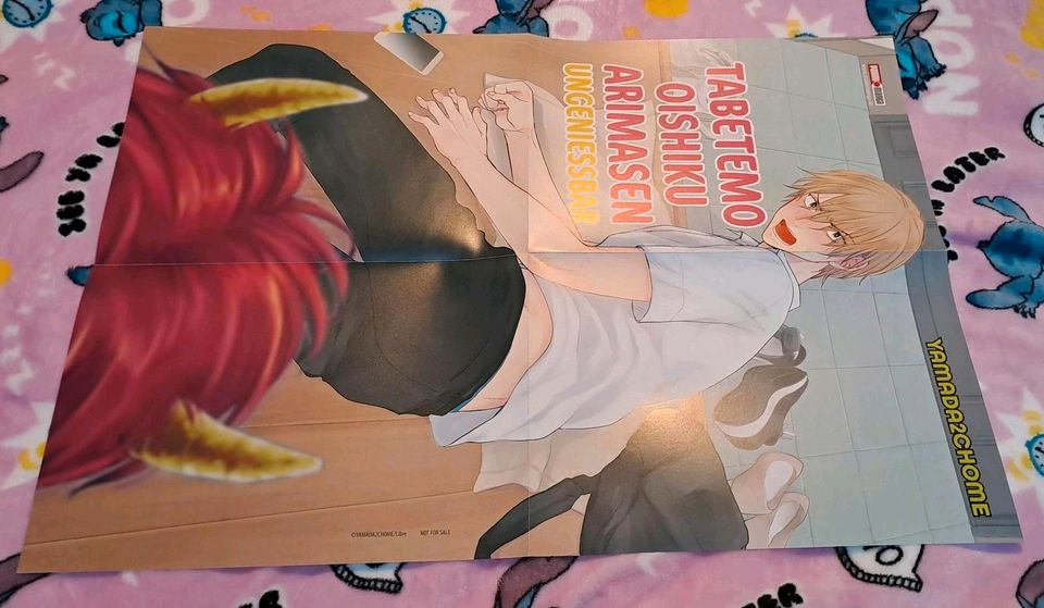 Manga Anime Panini Egmont Papertoons Tokyopop Postern Berserk in Arnstadt