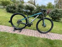 MTB Stevens AppleBee Rahmen 16“  Reifen 29 Niedersachsen - Buchholz in der Nordheide Vorschau