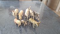 26 Schleich Pferde Aachen - Eilendorf Vorschau