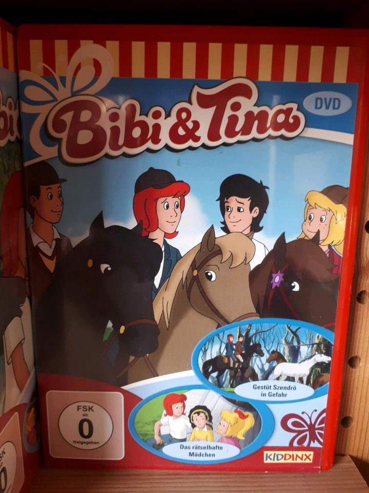 "Bibi und Tina" Zeichentrick Serie, DVD-Sammlung in Gielde