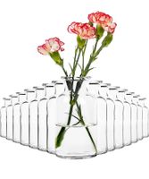 15 Stück Glas Vasen Niedersachsen - Salzgitter Vorschau