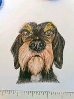 Geschenk Hund, Katze, Maus - liebevoll handgemalt Auftragsmalerei Bayern - Westerheim Vorschau