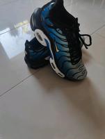 Nike tn Größe 37.5 Nordrhein-Westfalen - Hagen Vorschau