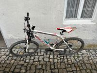 Mountainbike Bayern - Adelsdorf Vorschau