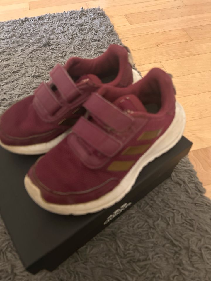 Adidas Sneaker Größe 30 Mädchen, Purple in Köln