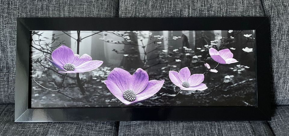 Bild Blumen lila / grau / schwarz in Donaueschingen