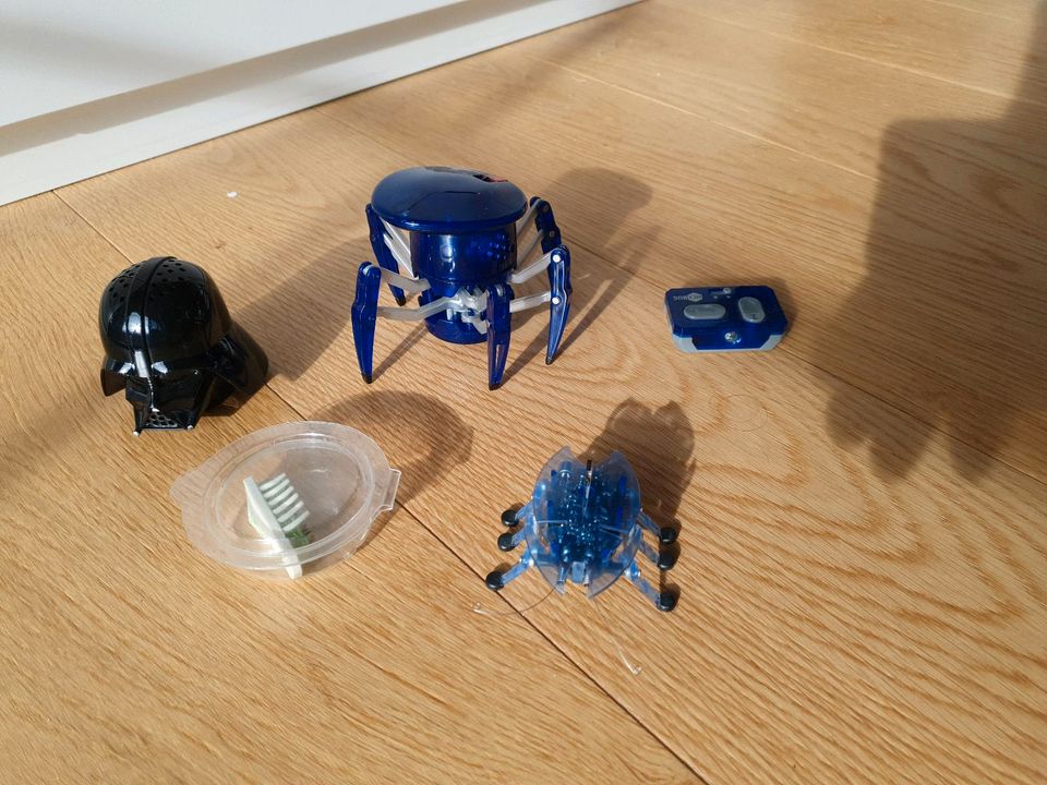 Hexbug Spider  / Sammlung Elektro-Spielzeug in Dieburg