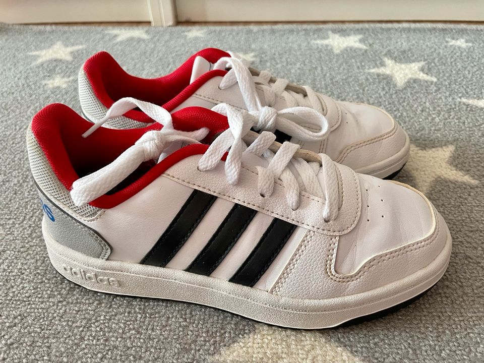 Adidas 35,5 Unisex Kinder Hoops 2.0 K Fitnessschuhe Sneaker in  Nordrhein-Westfalen - Sankt Augustin | Gebrauchte Kinderschuhe Größe 35  kaufen | eBay Kleinanzeigen ist jetzt Kleinanzeigen